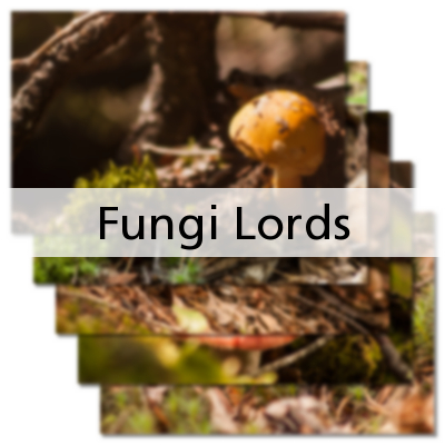 Fungi Lords