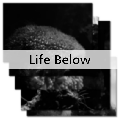 Life Below